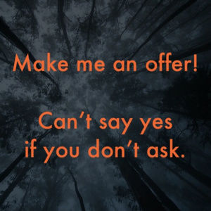 Make an offer on my closet !!